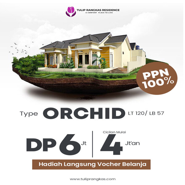 Orchid Promo